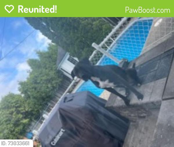 Reunited Male Dog last seen Boul Ste Rose, Laval, QC H7R