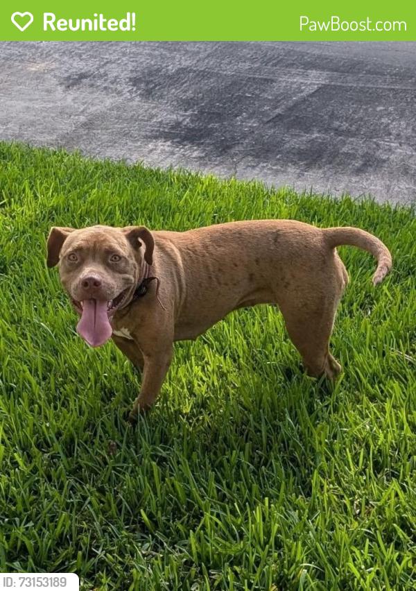 Reunited Female Dog last seen Atasca South Dr, Humble, TX 77346
