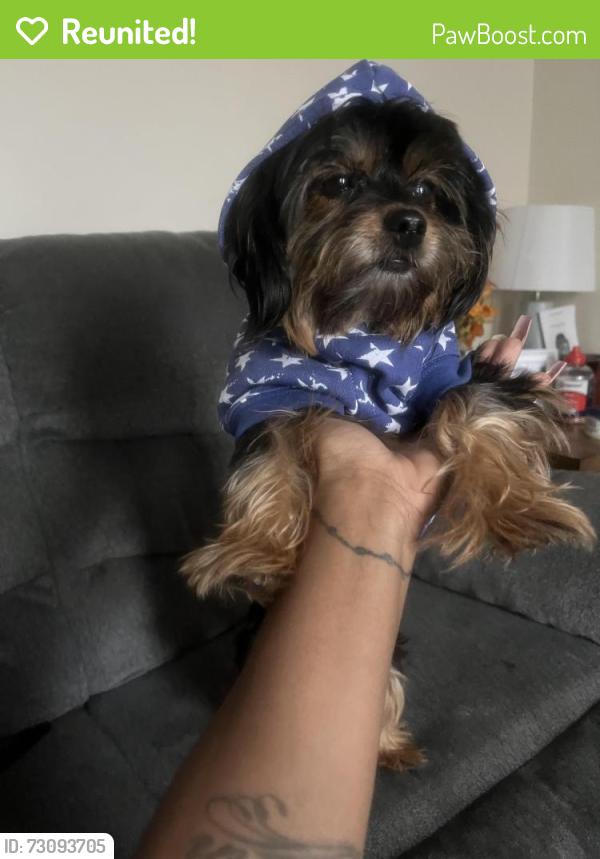 Reunited Female Dog last seen Durham villiage apmts, Burgaw, NC 28425