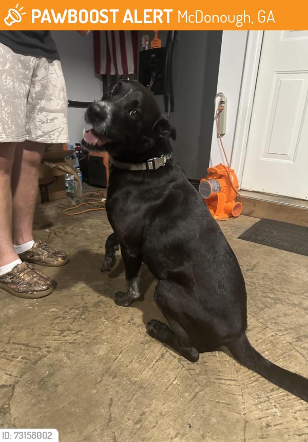Found/Stray Male Dog last seen Wynbrook drive mcdonough ga, McDonough, GA 30253