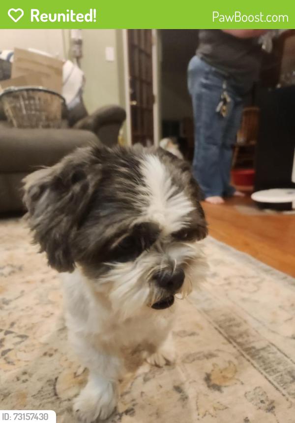 Reunited Male Dog last seen Cooper crossing in north Denton, Denton, TX 76201