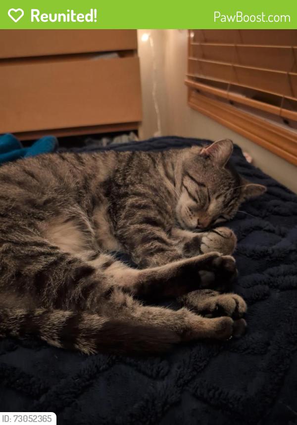 Reunited Male Cat last seen By the Des Moines Golf and Country Club, West Des Moines, IA 50266