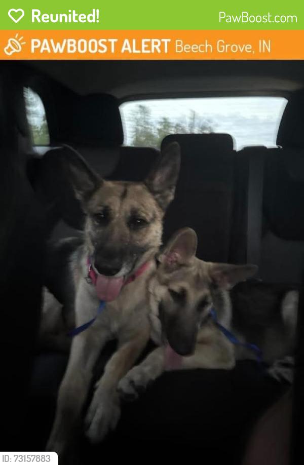 Reunited Female Dog last seen 14th Avenue and Detroit Street, Beech Grove, IN 46107