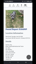 Lost Male Dog last seen 92nd & division, Portland, OR 97216