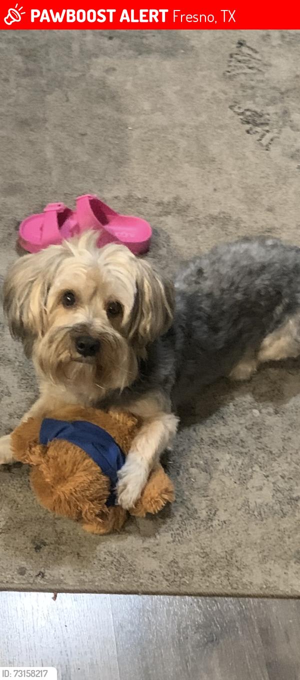 Lost Male Dog last seen Manchester, Fresno, TX 77545