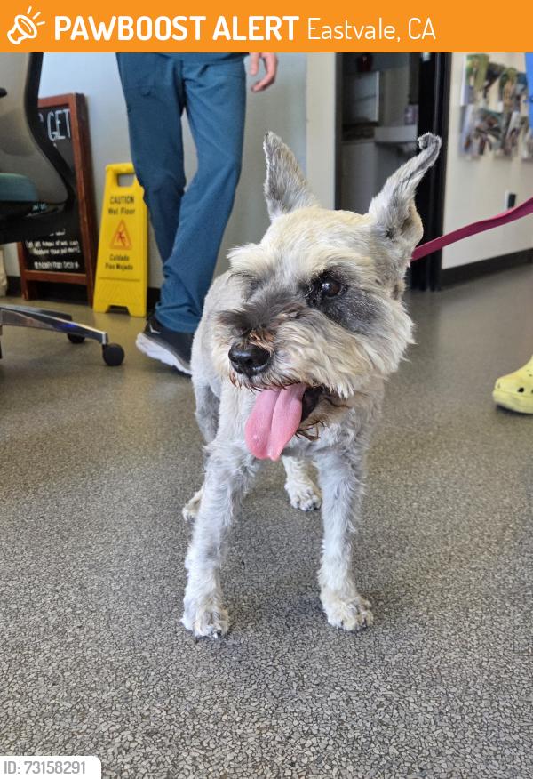 Found/Stray Male Dog last seen River/ Fuller Ranch, Eastvale, CA 92880