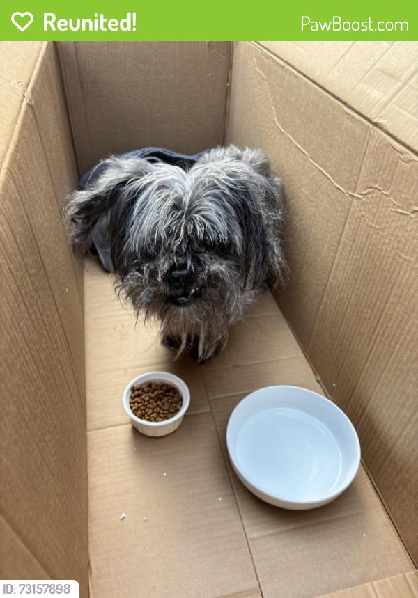 Reunited Unknown Dog last seen 58th and France Ave S, Edina, MN 55410, Edina, MN 55410