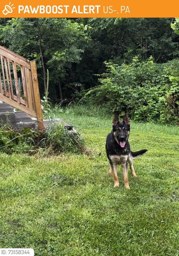 Found/Stray Male Dog last seen By Tradedman Restaurant, US-40, PA 15413