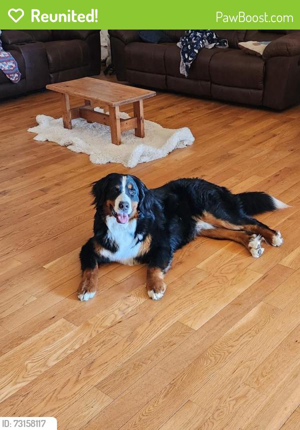 Reunited Male Dog last seen Landmark dr bailer dr, Belgrade, MT 59714