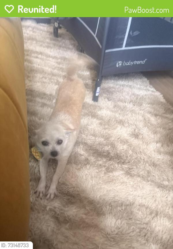 Reunited Female Dog last seen Near Jody avenue s, Cottage Grove, MN 55016