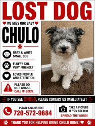 Lost Male Dog last seen Zephyr St and Grand ave, Littleton, CO 80123