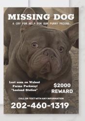 Lost Male Dog last seen Walnut Farms Parkway, “Leeland Station”, Stafford County, VA 22405