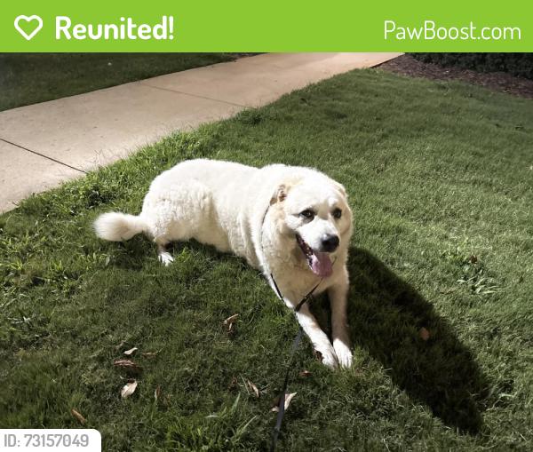 Reunited Unknown Dog last seen S Parker road, Greenville County, SC 29609