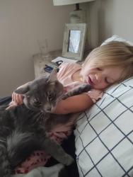 Lost Male Cat last seen Federal and Amity, Boise, ID 83716