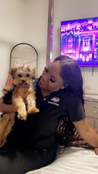 Lost Female Dog last seen Military Trail, West Palm Beach, FL 33409