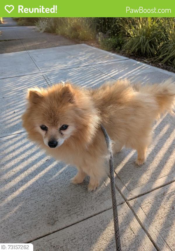 Reunited Male Dog last seen Near McKinley Pl N, Seattle WA 98103, Seattle, WA 98103