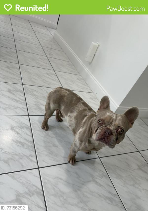Reunited Male Dog last seen E 16th St, Hialeah, FL 33010, USA, Hialeah, FL 33010