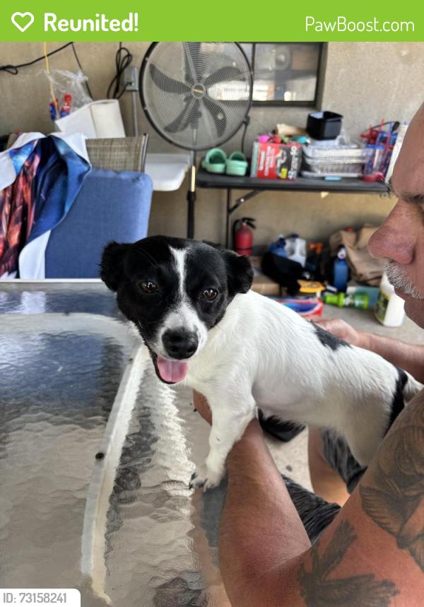 Reunited Female Dog last seen Victory blvd & Bradley Ave, Staten Island, NY 10314