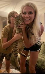 Reunited Female Cat last seen Leisure and Balboa, Navarre, FL 32566