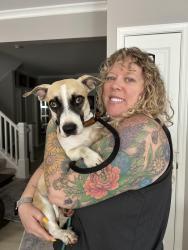 Reunited Female Dog last seen Gateway Shopping Center, Gainesville, VA 20155
