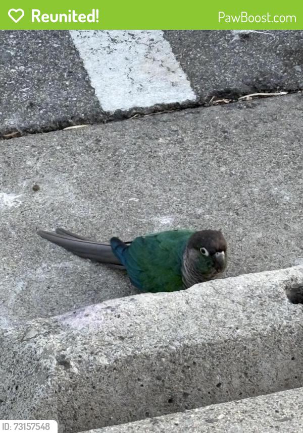 Reunited Unknown Bird last seen Cahalan Park, San Jose, CA 95123