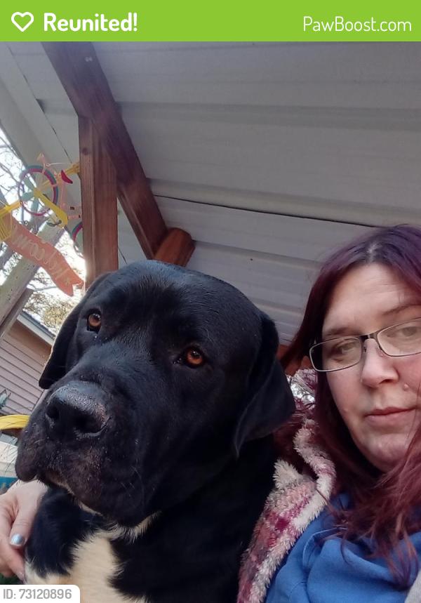 Reunited Male Dog last seen Blanton Road, Sharon, SC 29742