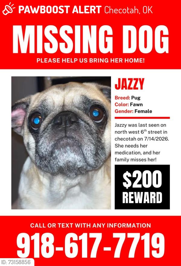 Lost Female Dog last seen Main street, Checotah, OK 74426