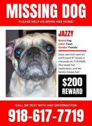 Lost Female Dog last seen Main street, Checotah, OK 74426