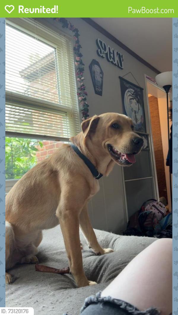 Reunited Male Dog last seen Northampton & Quarry Rd, South Euclid, OH 44121