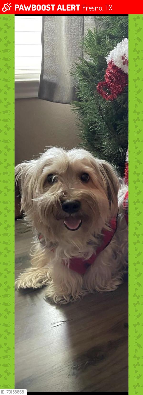 Lost Male Dog last seen Near 1915 Manchester Crossing dr, Fresno, TX 77545