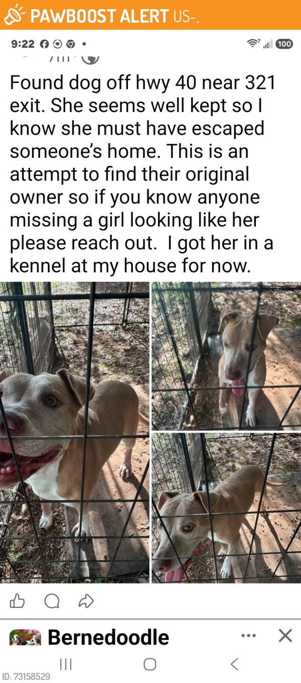 Found/Stray Female Dog last seen Hwy 321 and 40, US-321,  29706