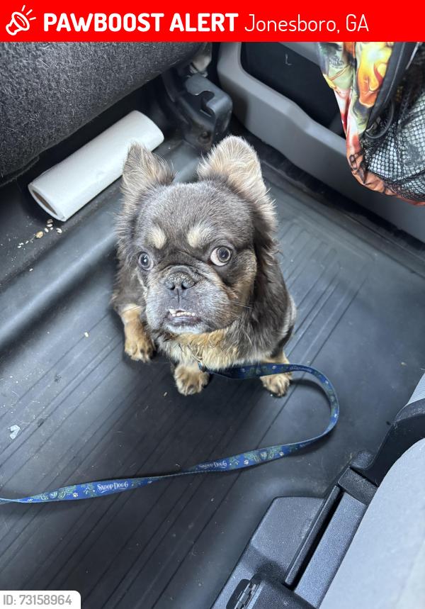 Lost Male Dog last seen Dunellen Lane, Jonesboro, GA 30236