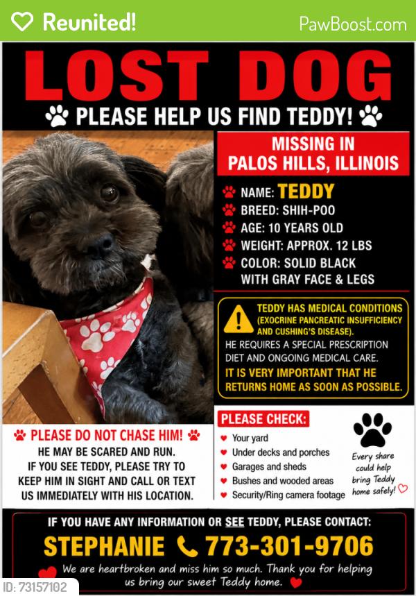 Reunited Male Dog last seen Kathy ct and 103rd st, Palos Hills, IL 60465