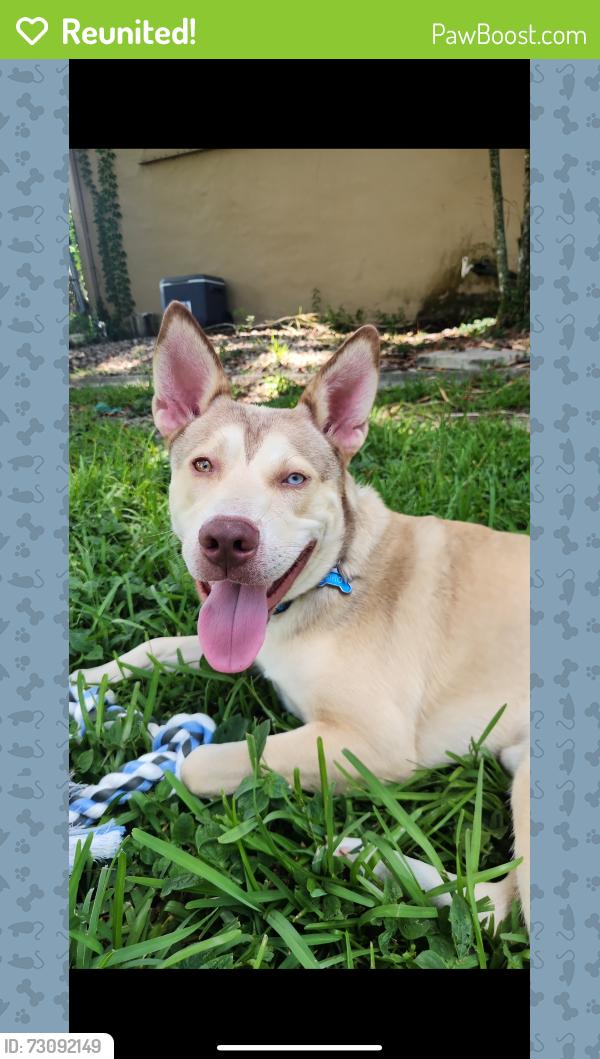 Reunited Male Dog last seen Shotgun road, Davie, FL 33331
