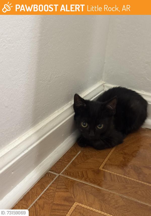 Found/Stray Unknown Cat last seen Intersection of Cantrell and I 430, Little Rock, AR 72227