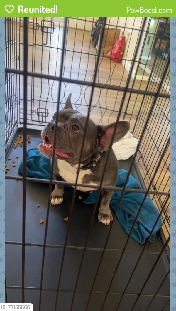 Reunited Female Dog last seen Hilcrest, Antioch, CA 94531