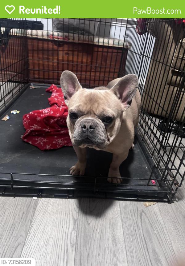 Reunited Male Dog last seen Near Cider Mill Ln, Yukon, OK 73099