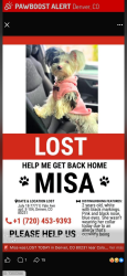 Lost Female Dog last seen Near E Yale Av Denver CO 80231, Denver, CO 80231