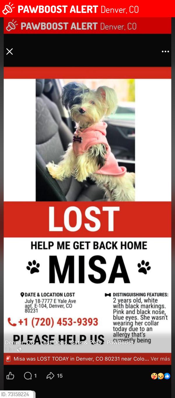 Lost Female Dog last seen Near E Yale Av Denver CO 80231, Denver, CO 80231