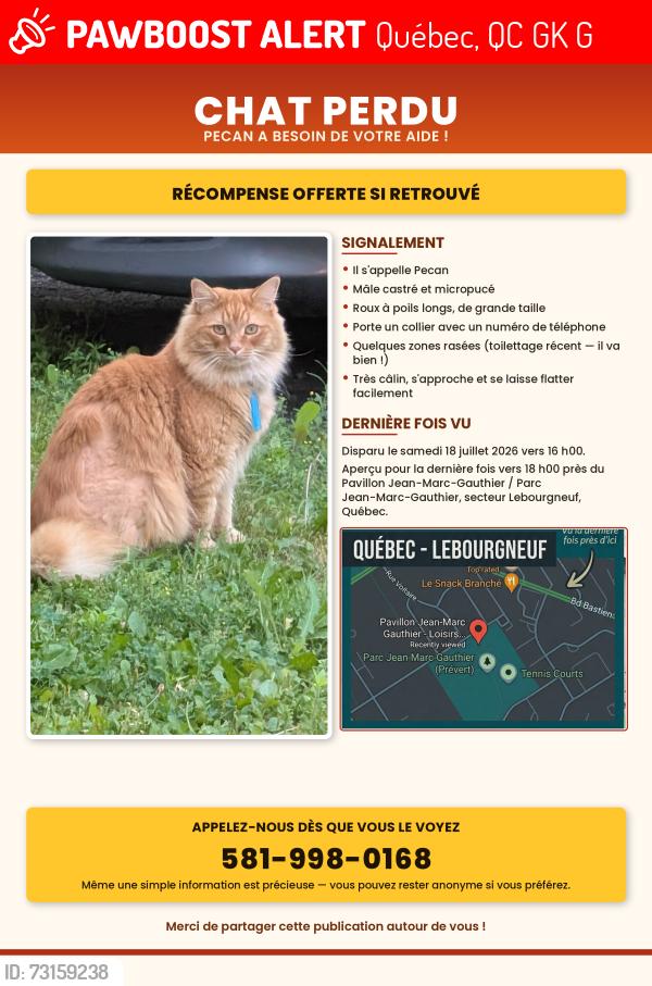 Lost Male Cat last seen Near rue charles dickens, G2K 2M8, Québec, QC G2K 1G3