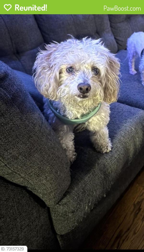 Reunited Male Dog last seen Escape from everts street near moonshine bar, San Diego, CA 92109