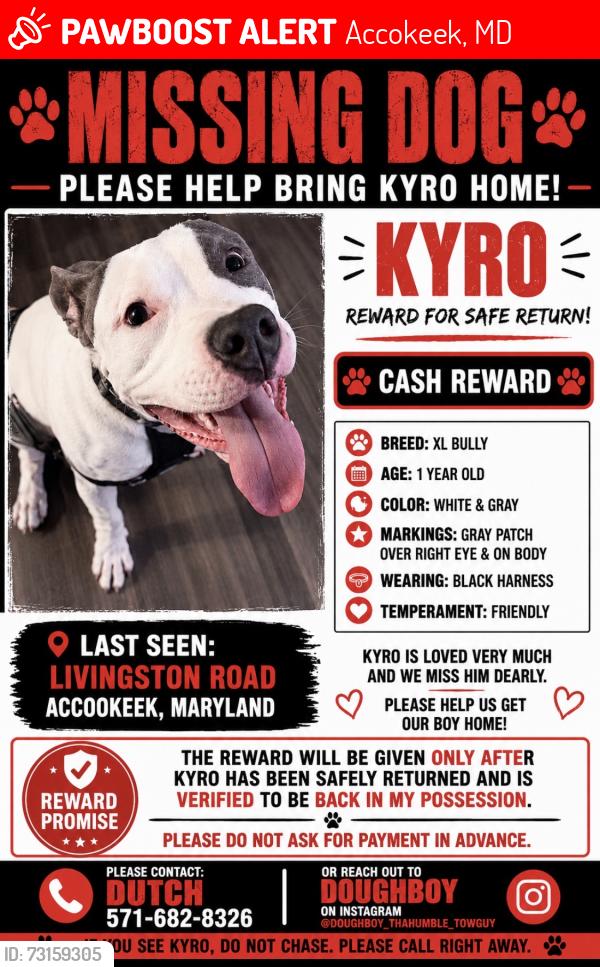 Lost Male Dog last seen Livingston Rd & Dusky lane, Accokeek, MD 20607