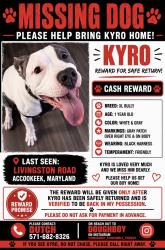 Lost Male Dog last seen Livingston Rd & Dusky lane, Accokeek, MD 20607