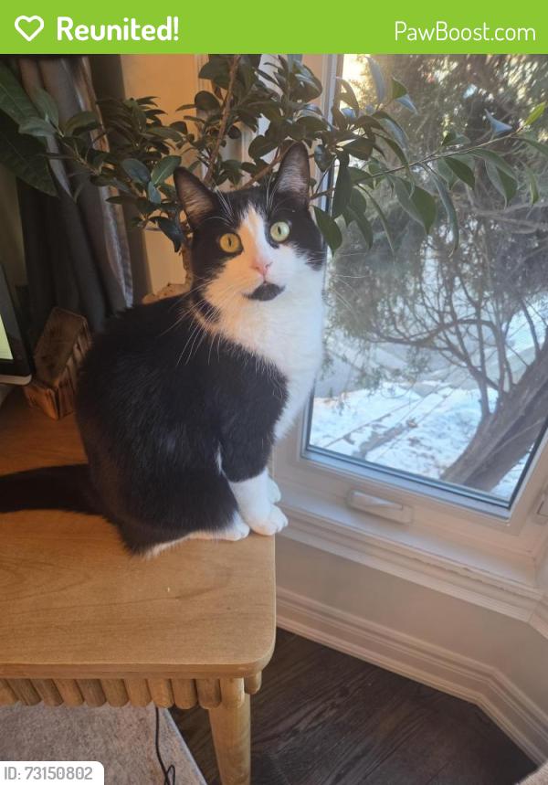 Reunited Female Cat last seen Near Tenth line west, Miss, Mississauga, ON L5N 5T5