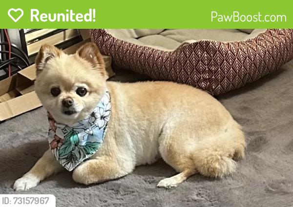 Reunited Male Dog last seen 65th and Glendale, Milwaukee, WI 53218
