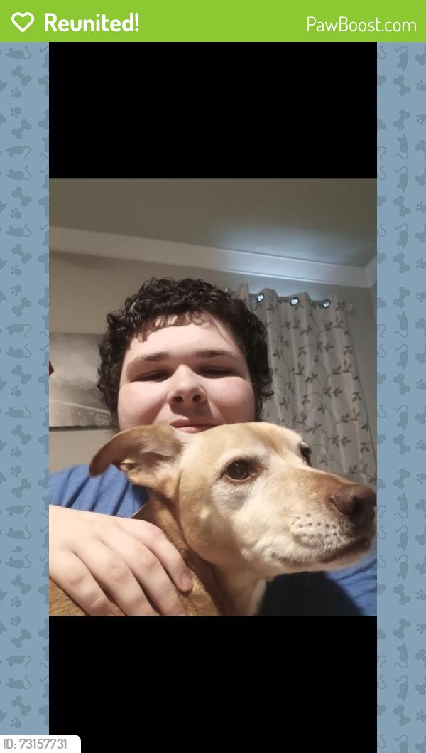Reunited Male Dog last seen Near jubilee ct, Roseville, CA 95747