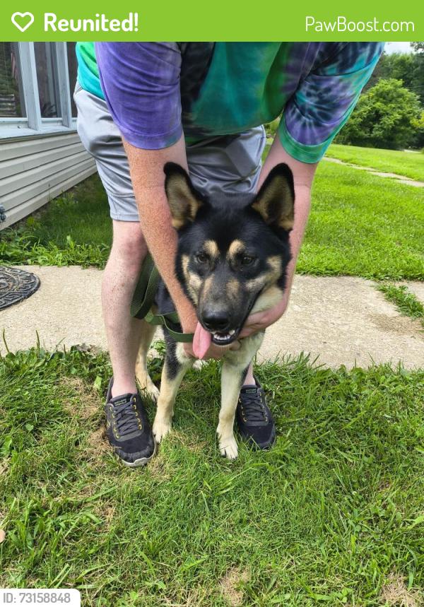 Reunited Male Dog last seen Near to pancake nursery, Rogers, OH 44455