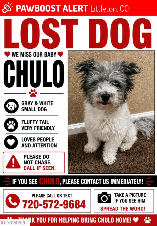 Lost Male Dog last seen W Layton Way & S Zephyr St, Littleton, CO 80123
