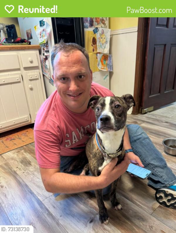 Reunited Male Dog last seen cedar grove road and williams road, Cross Plains, TN 37049