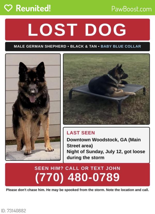 Reunited Male Dog last seen Hobgood park, Cherokee County, GA 30189